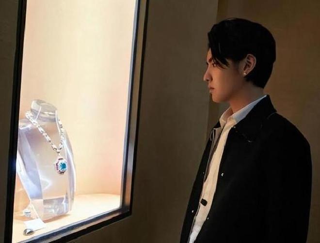 狱中再起风波法院判决牵连表哥J9国际集团祸不单行！吴亦凡(图8)